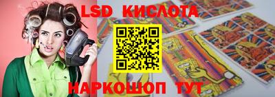 тгк Кингисепп