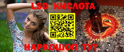 мяу мяу мука Аргун