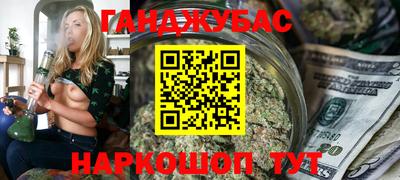 тгк Кингисепп