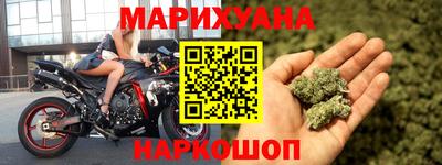 тгк Кингисепп