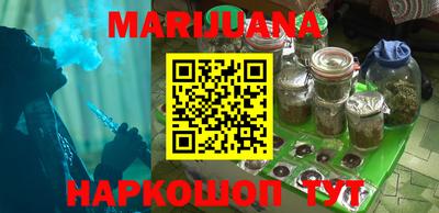 тгк Кингисепп