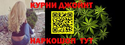 тгк Кингисепп