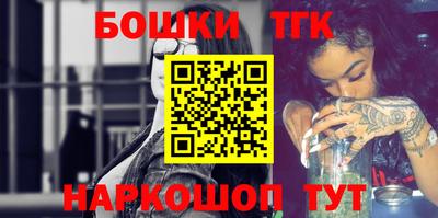 тгк Кингисепп