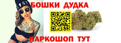 тгк Кингисепп