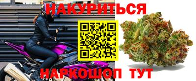 мяу мяу мука Аргун