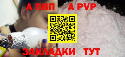 тгк Кингисепп