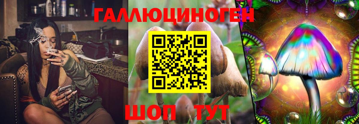 Псилоцибиновые грибы мицелий Кохма